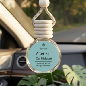 after rain car diffuser